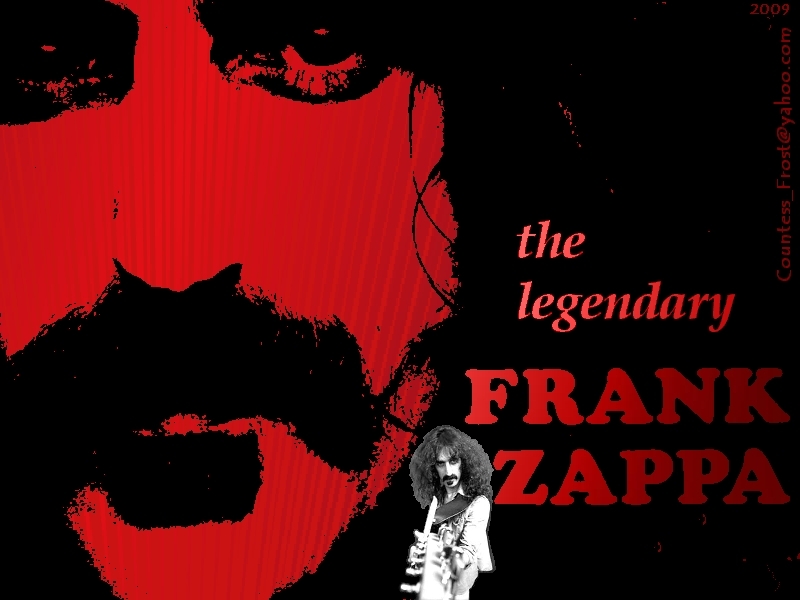 the legendary Frank Zappa   Frank Zappa Wallpaper 5073003