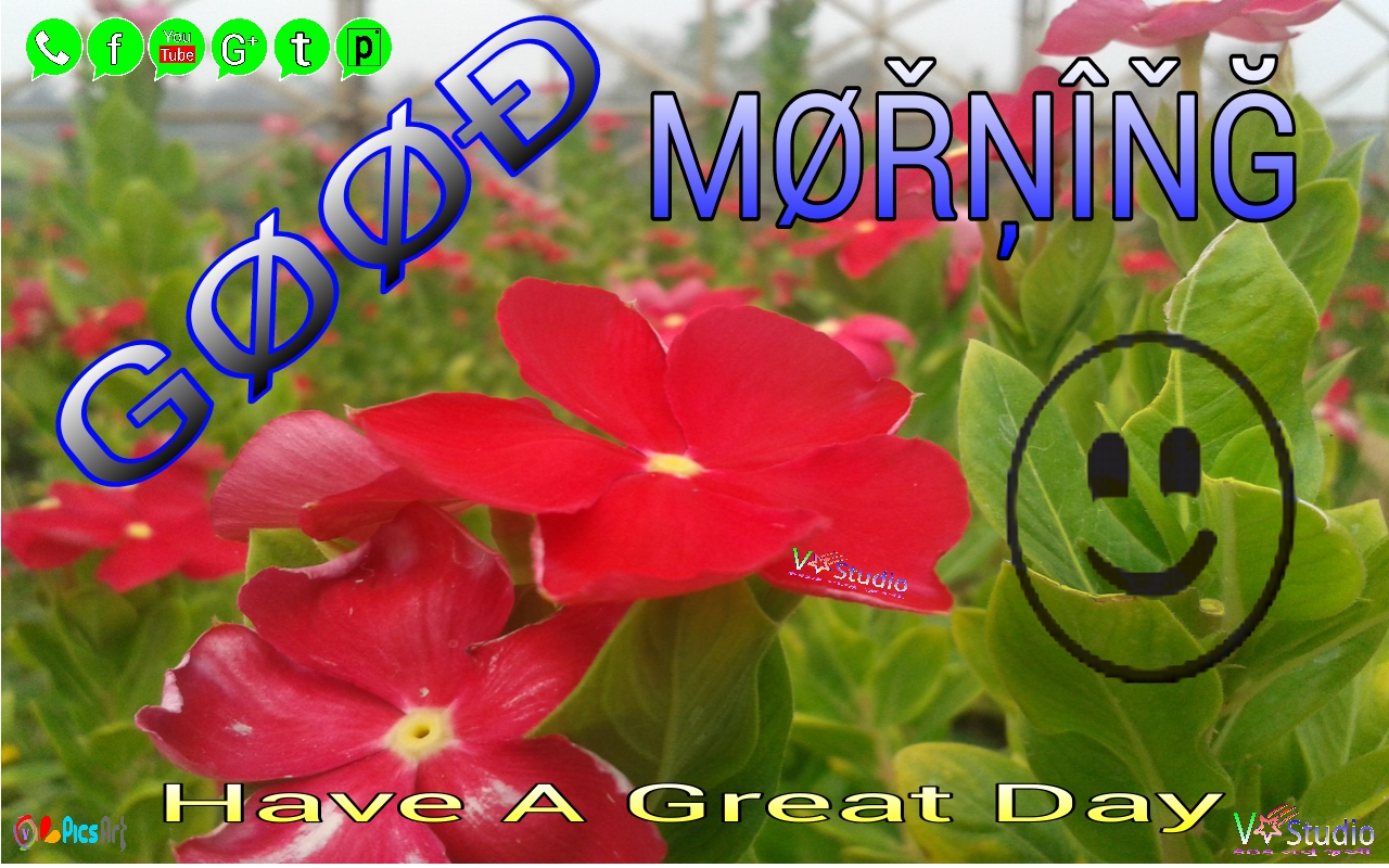 Vmbhoya Image Good Morning Have A Nice Day HD Wallpaper
