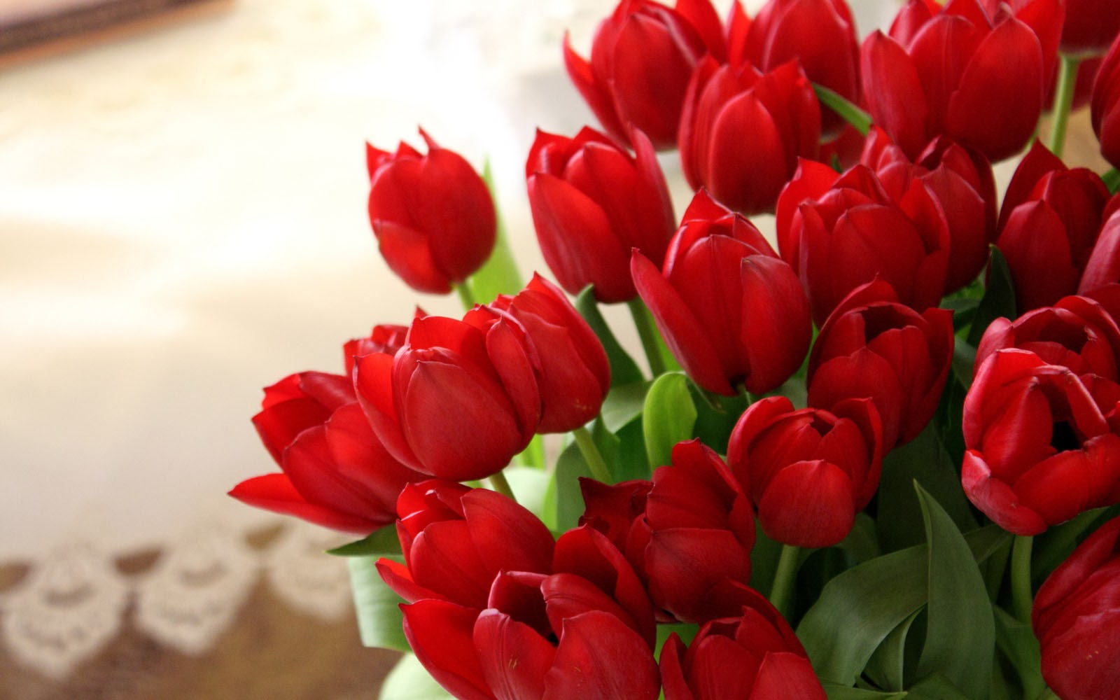 Red Tulips Wallpaper Desktop