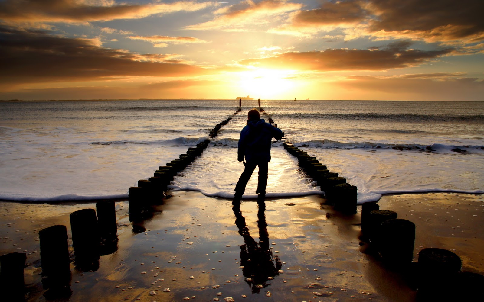 The Loneliness Wallpaper Category Of HD