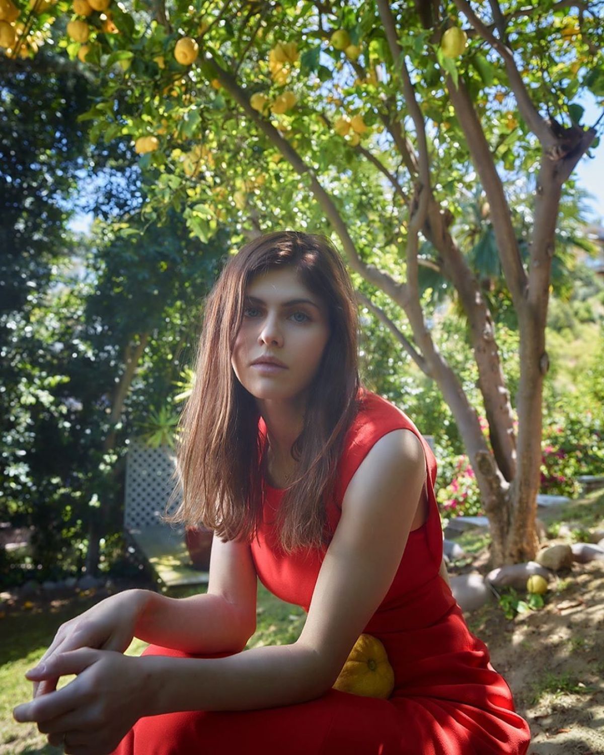Alexandra Daddario At A Photoshoot May Wallpaper