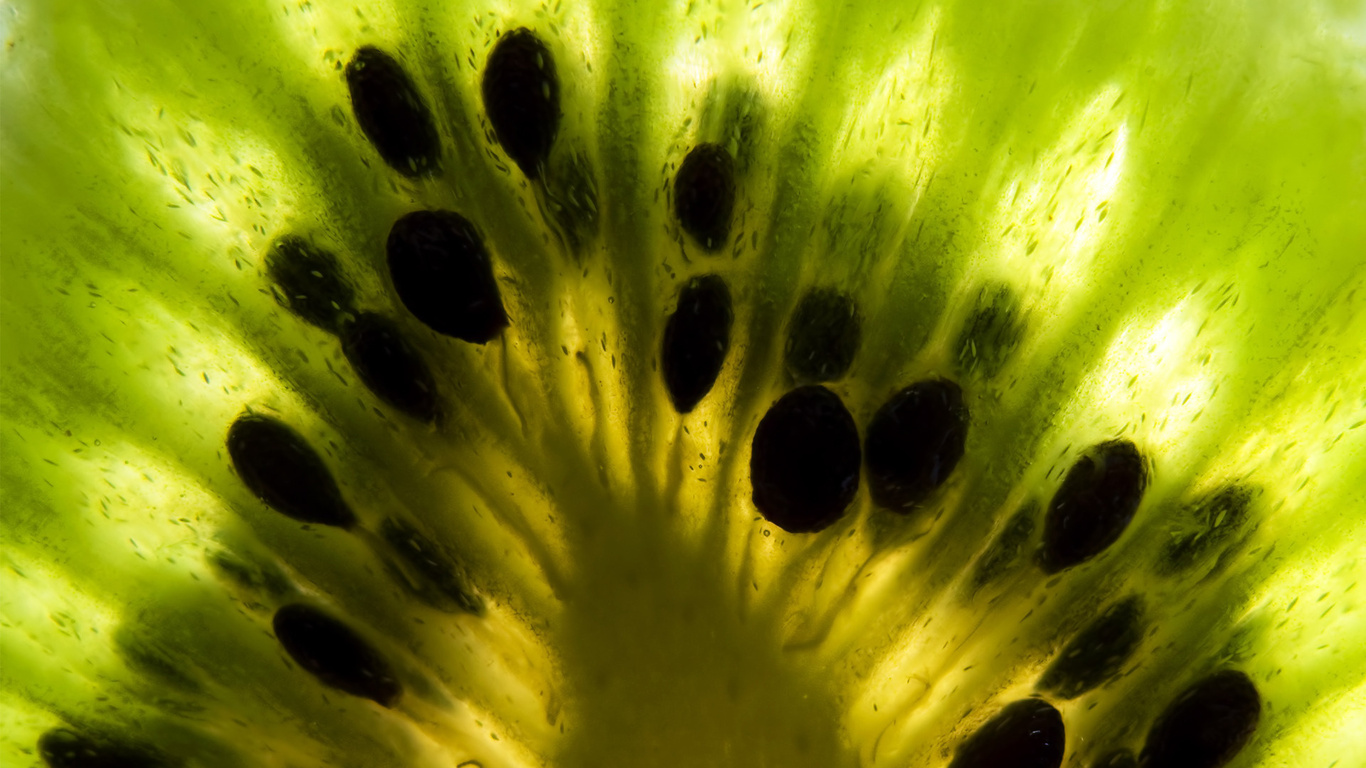 Bakgrundsbilder Frukt Kiwi Gr N Struktur Ljus Makro Foto