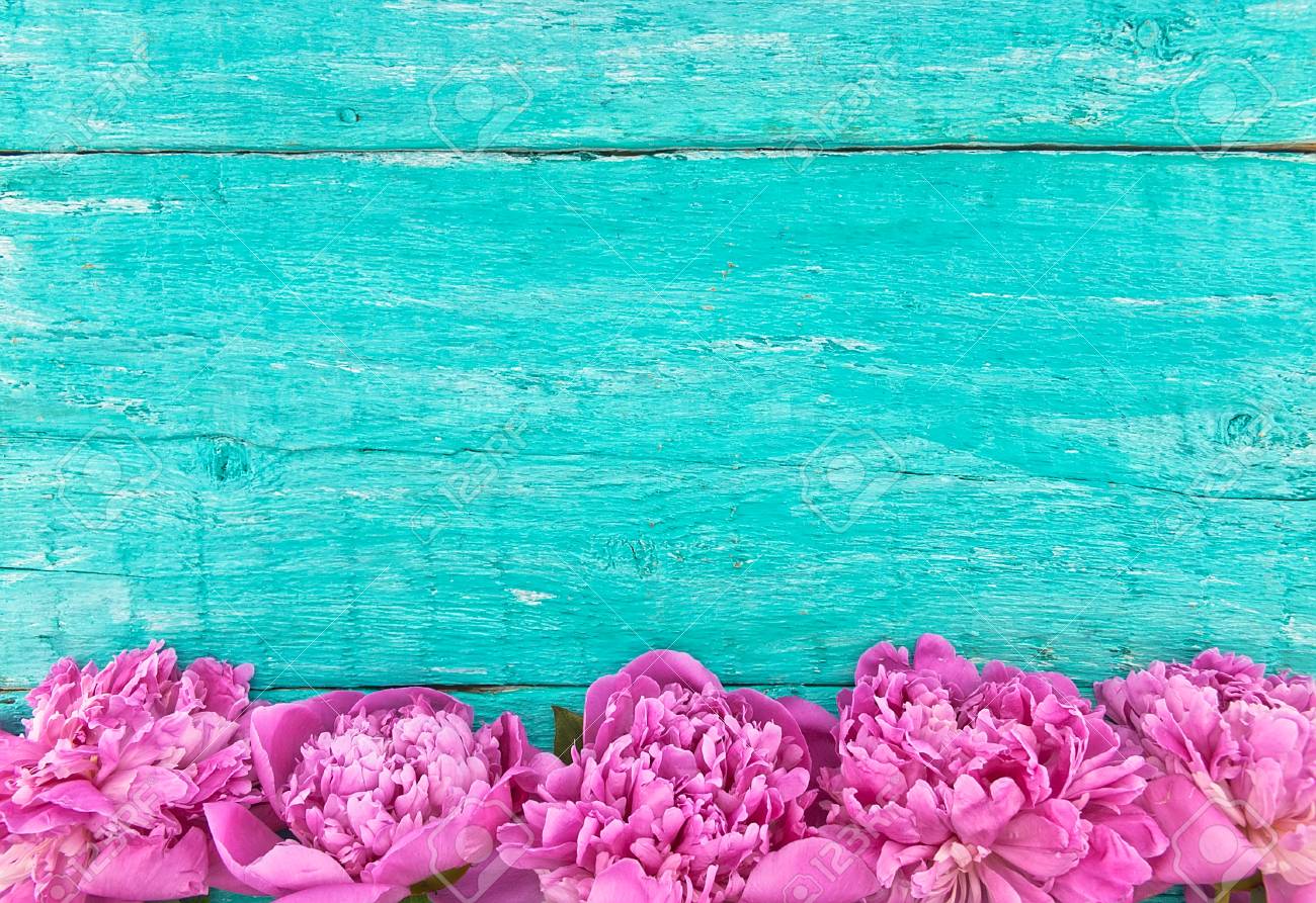 Frame Of Pink Peony Flowers On Turquoise Rustic Wooden Background