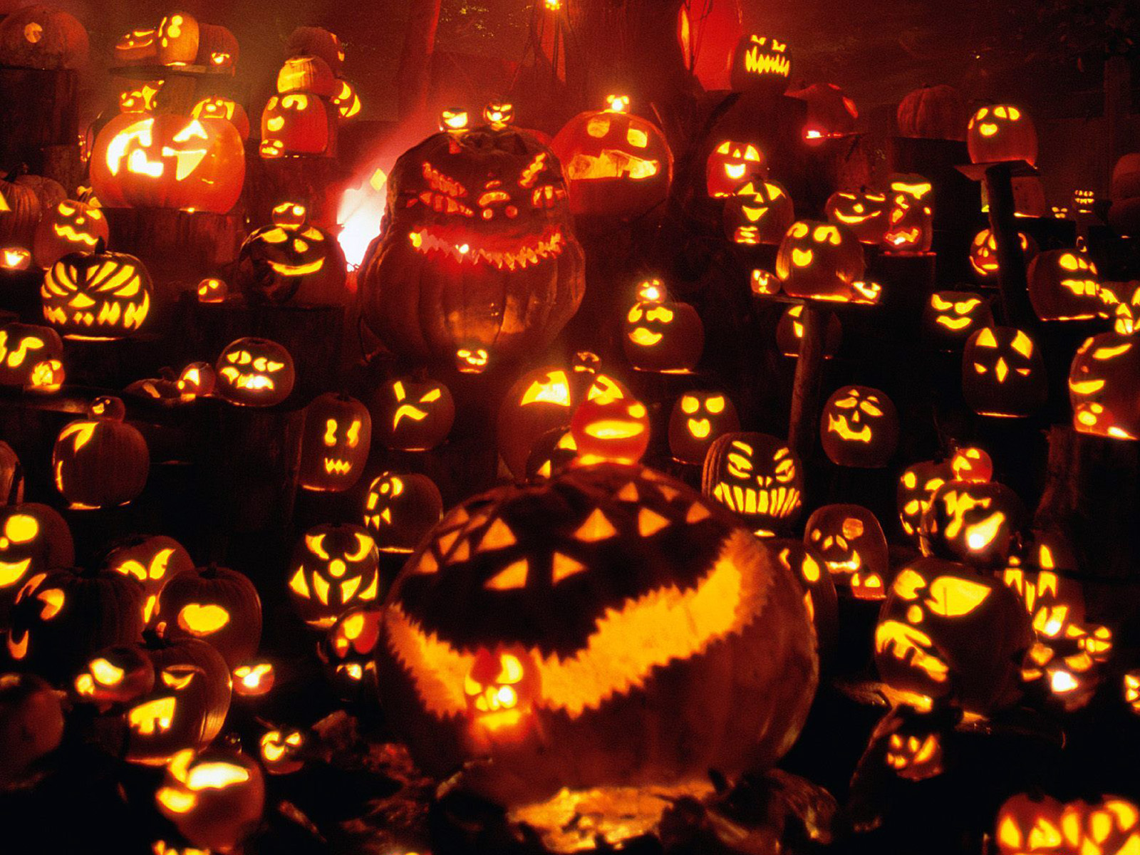 Pumpkins To Halloween Desktop Wallpaper On Latoro