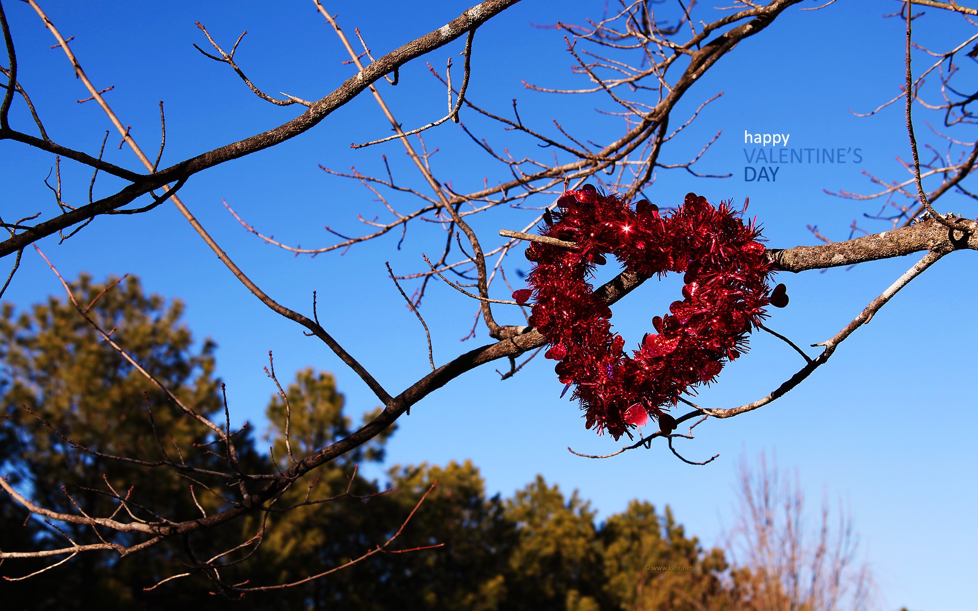 Happy Valentines Day Timeline Cover High Resolution Image