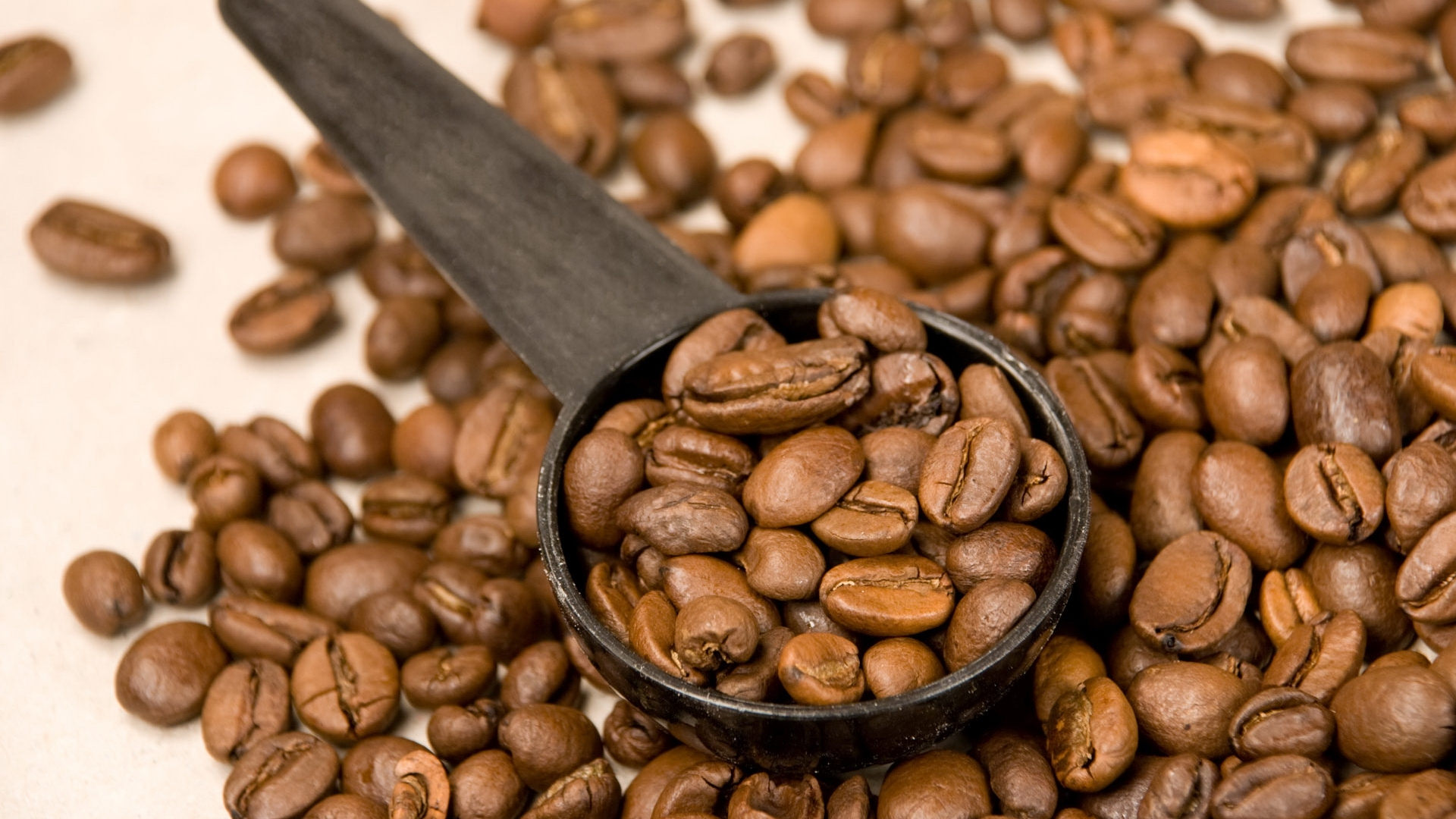 Coffee beans wallpaper 29314