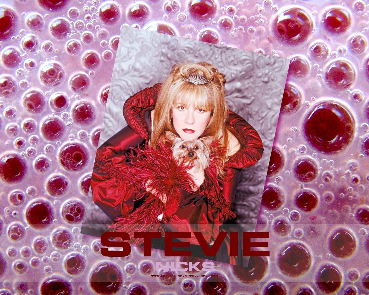 Stevie Nicks Wallpaper   40010201 1280x1024 Desktop Download page