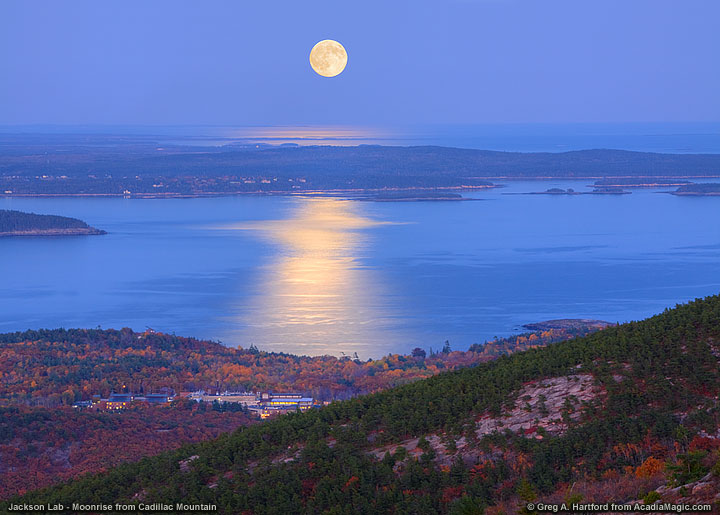 Jackson Lab Moonrise   Acadia National Park Maine