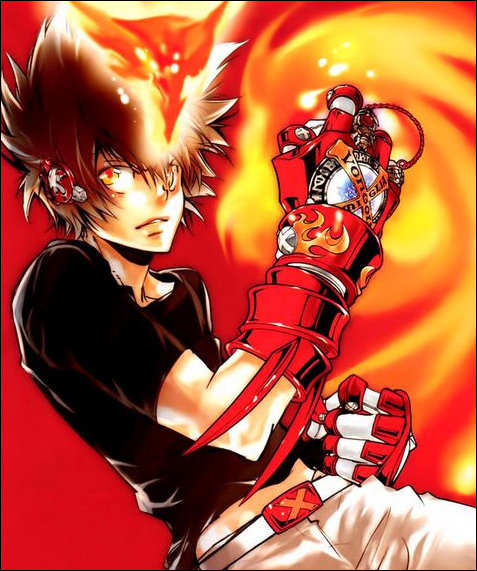 Obd Wiki Character Profile Tsunayoshi Sawada