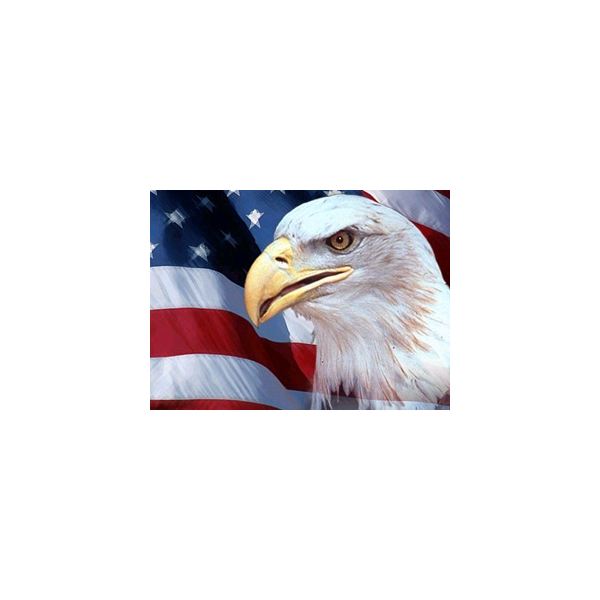 Free Eagle and American Flag Background