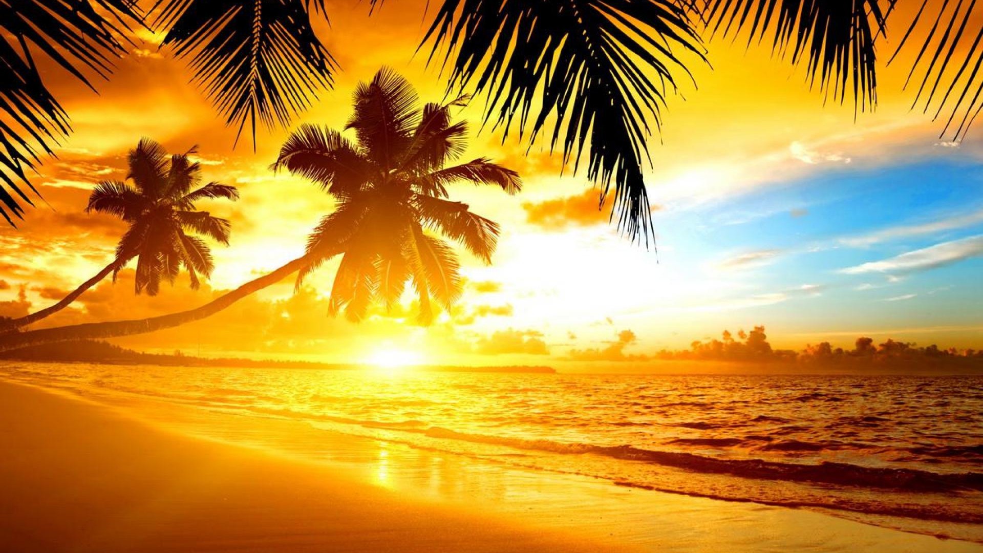 Sunset Beaches Wallpaper