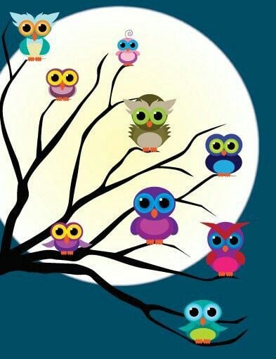  Drawings Moon Child Rooms Backgrounds Cute Cartoon Owl Night Owl