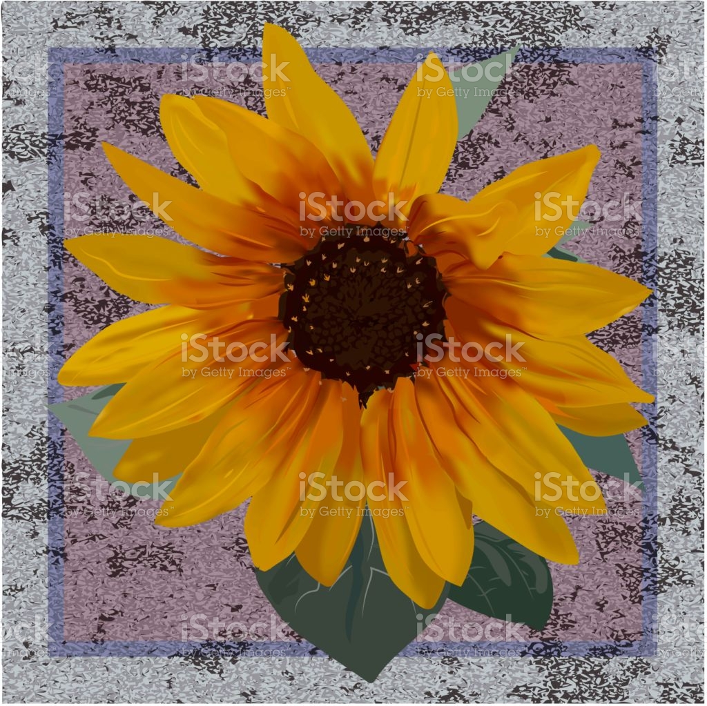 free-download-sunflower-sunny-flower-with-green-leaves-background