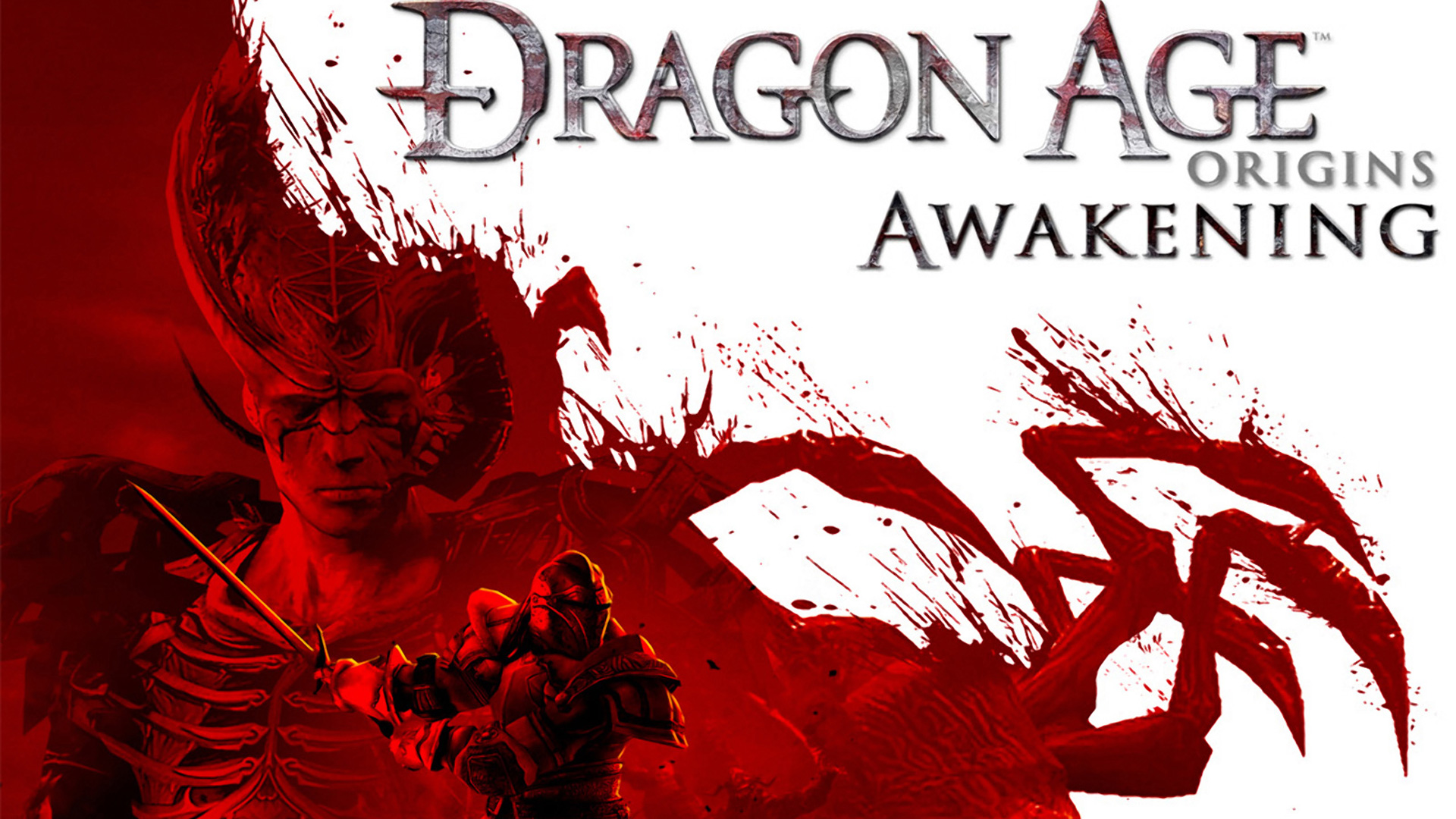 Dragon Age Origins HD Wallpaper