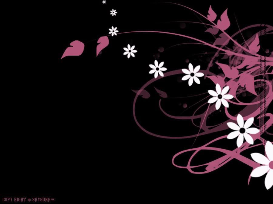 Black White And Pink Background HD Wallpaper