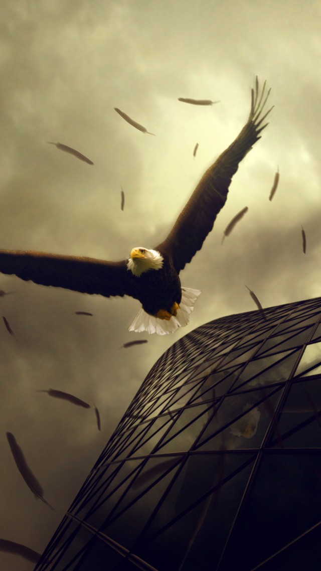 Wallpaper Eagle 4k HD Sky Clouds Building Fly