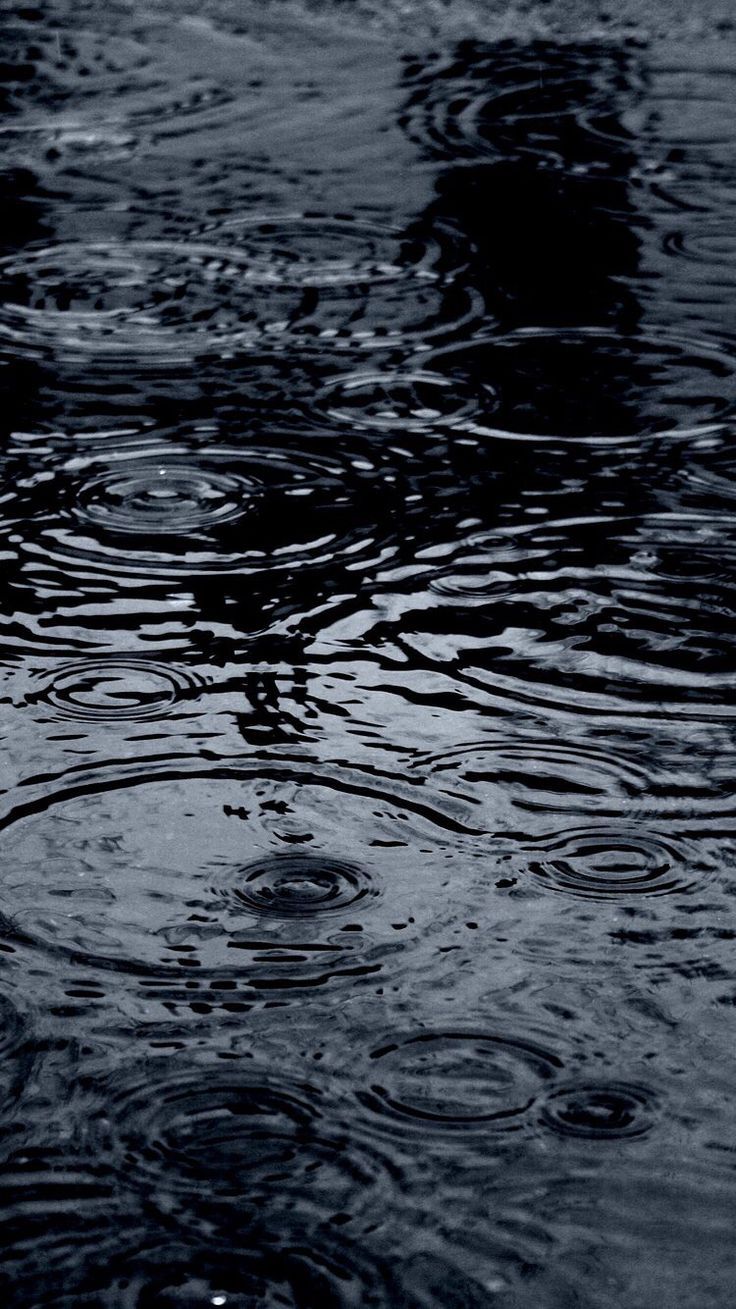 Download Black And White Aesthetic Ripples From Rain Wallpaper  Wallpapers com