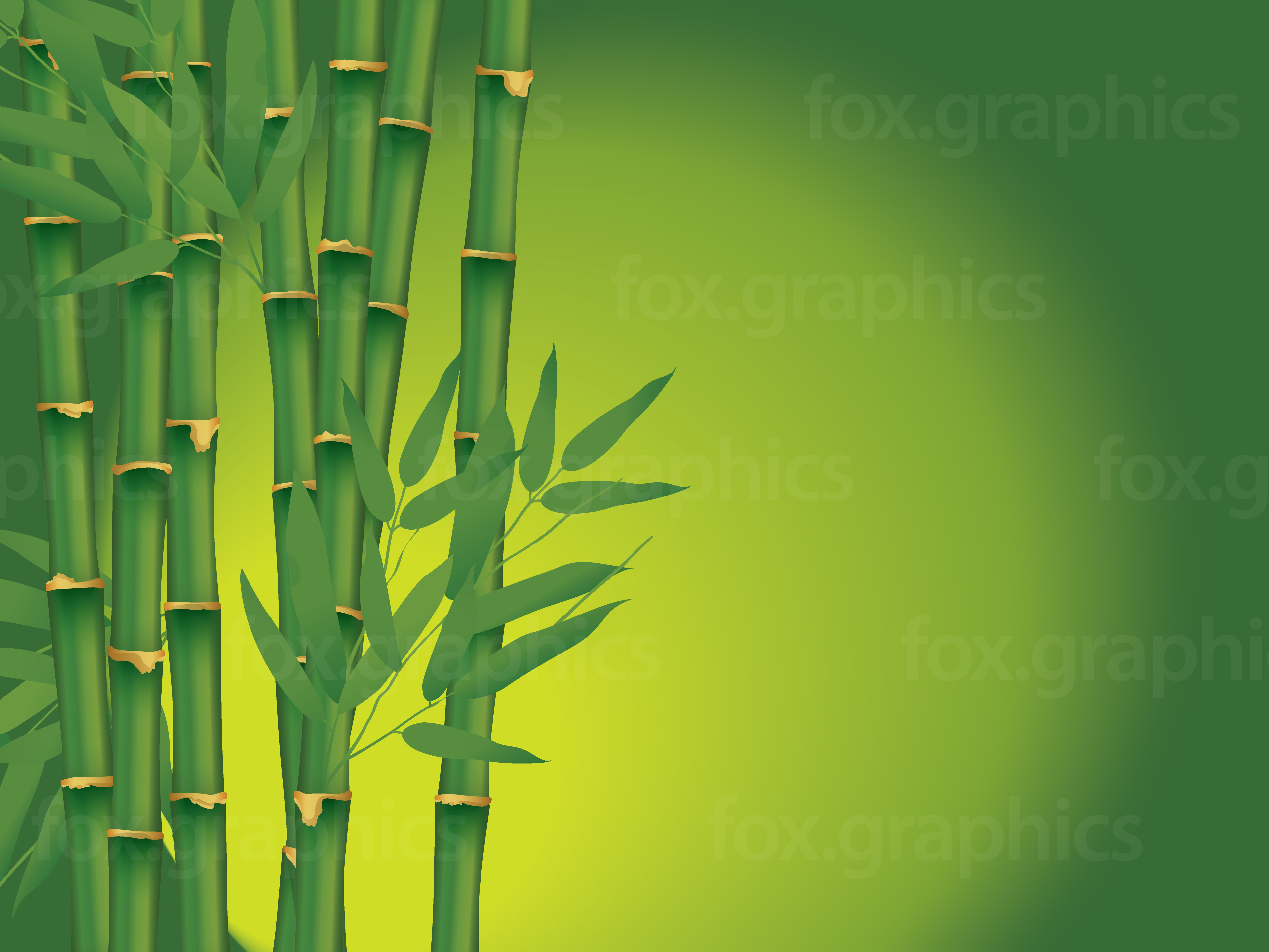 Vector Bamboo Background Fox Graphics