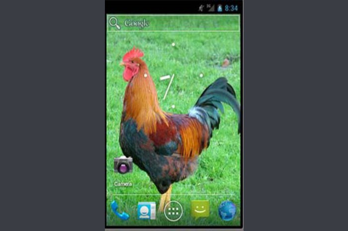 Animal Live Wallpaper For Android Sony Ericsson With