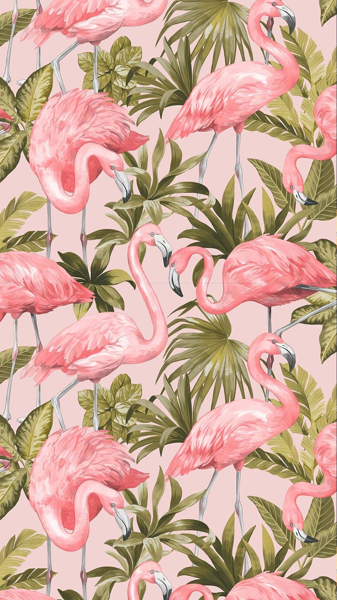 I Love Wallpaper Flamingo Blush Pink Lukisan