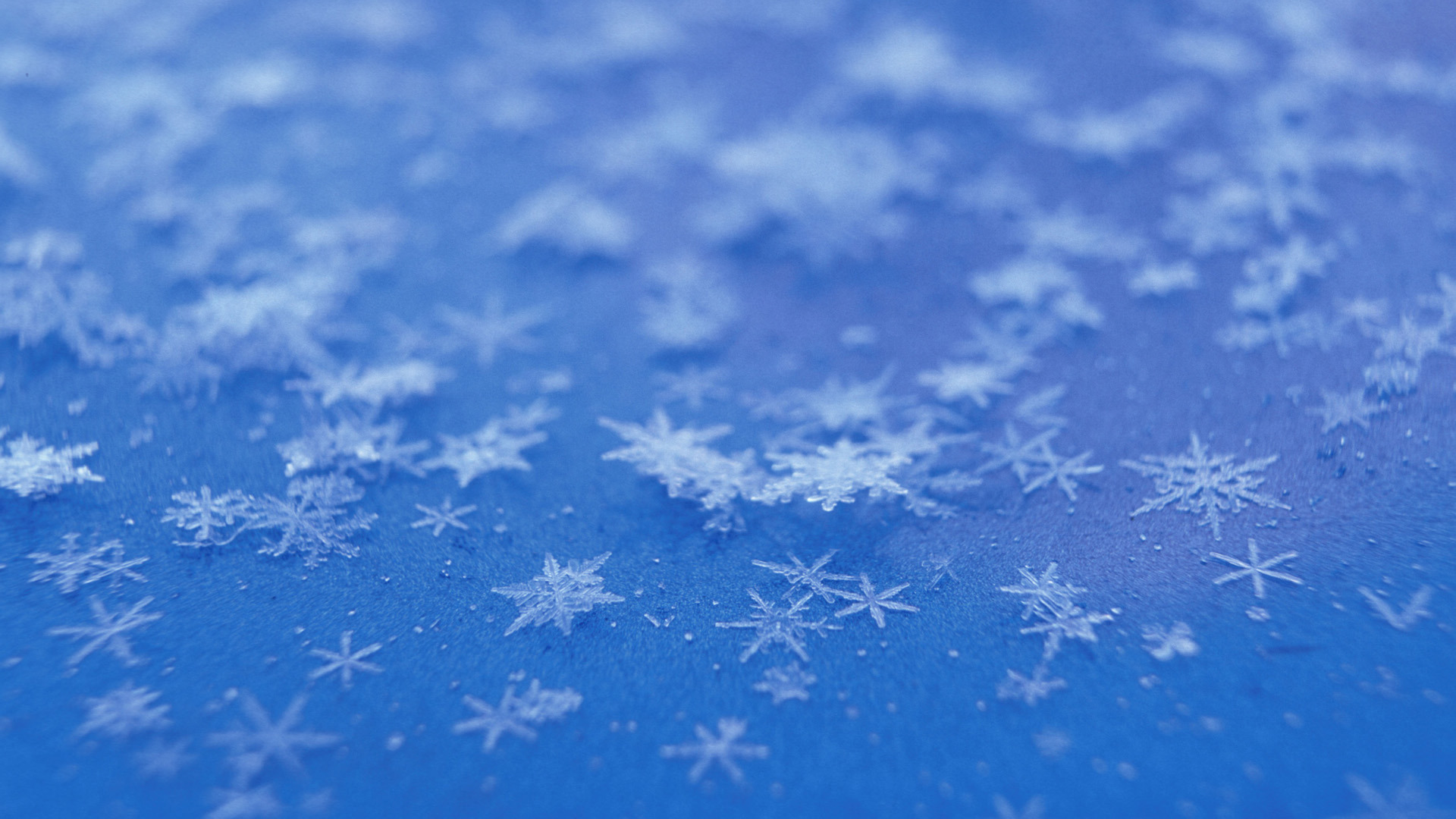 Snowflake Wallpaper HD