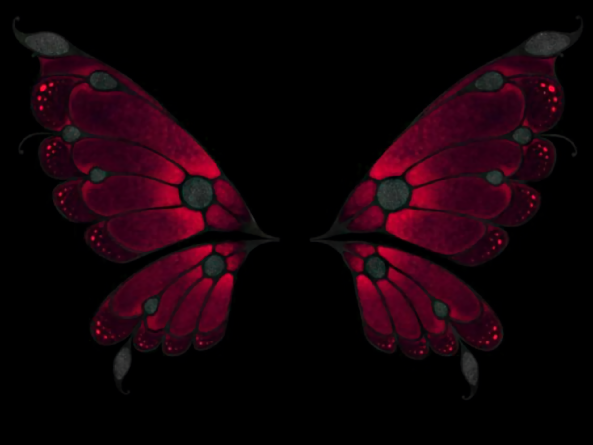 Butterfly Wings HD Wallpaper Background Image