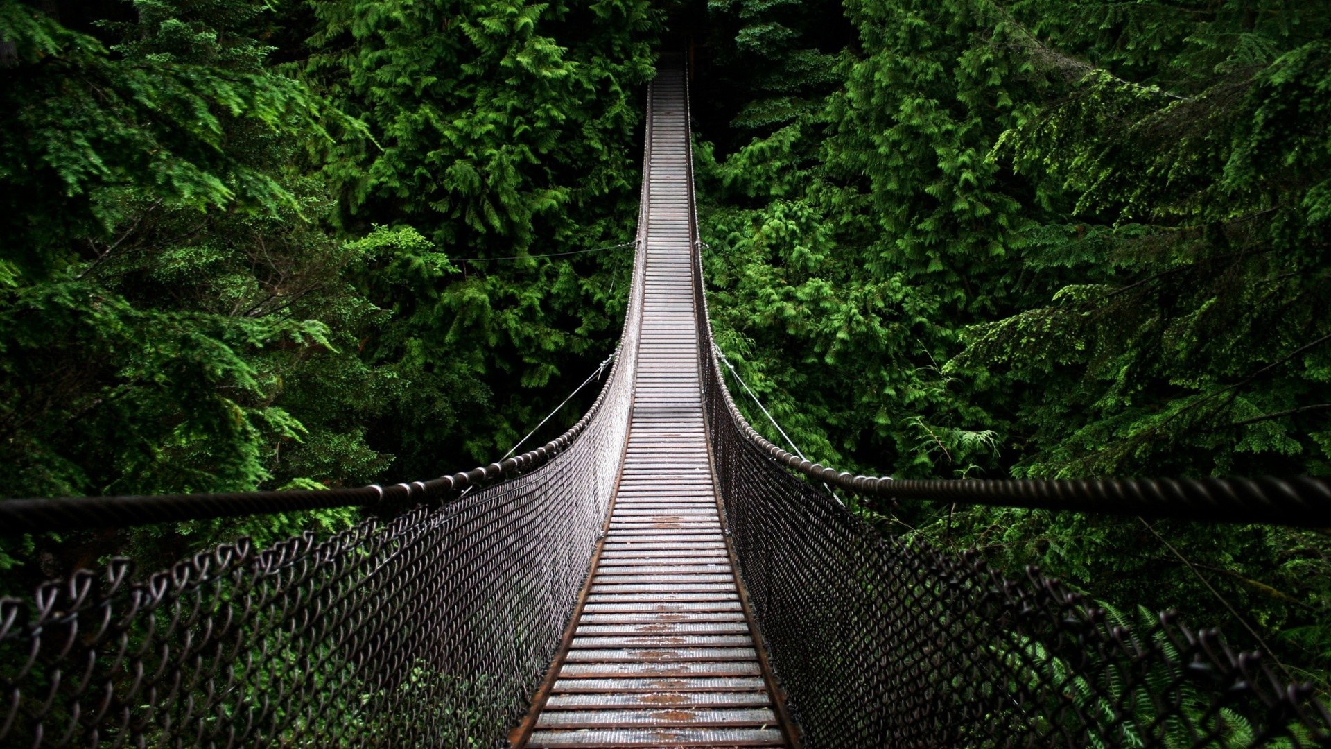 Full Screen HD Wallpaper