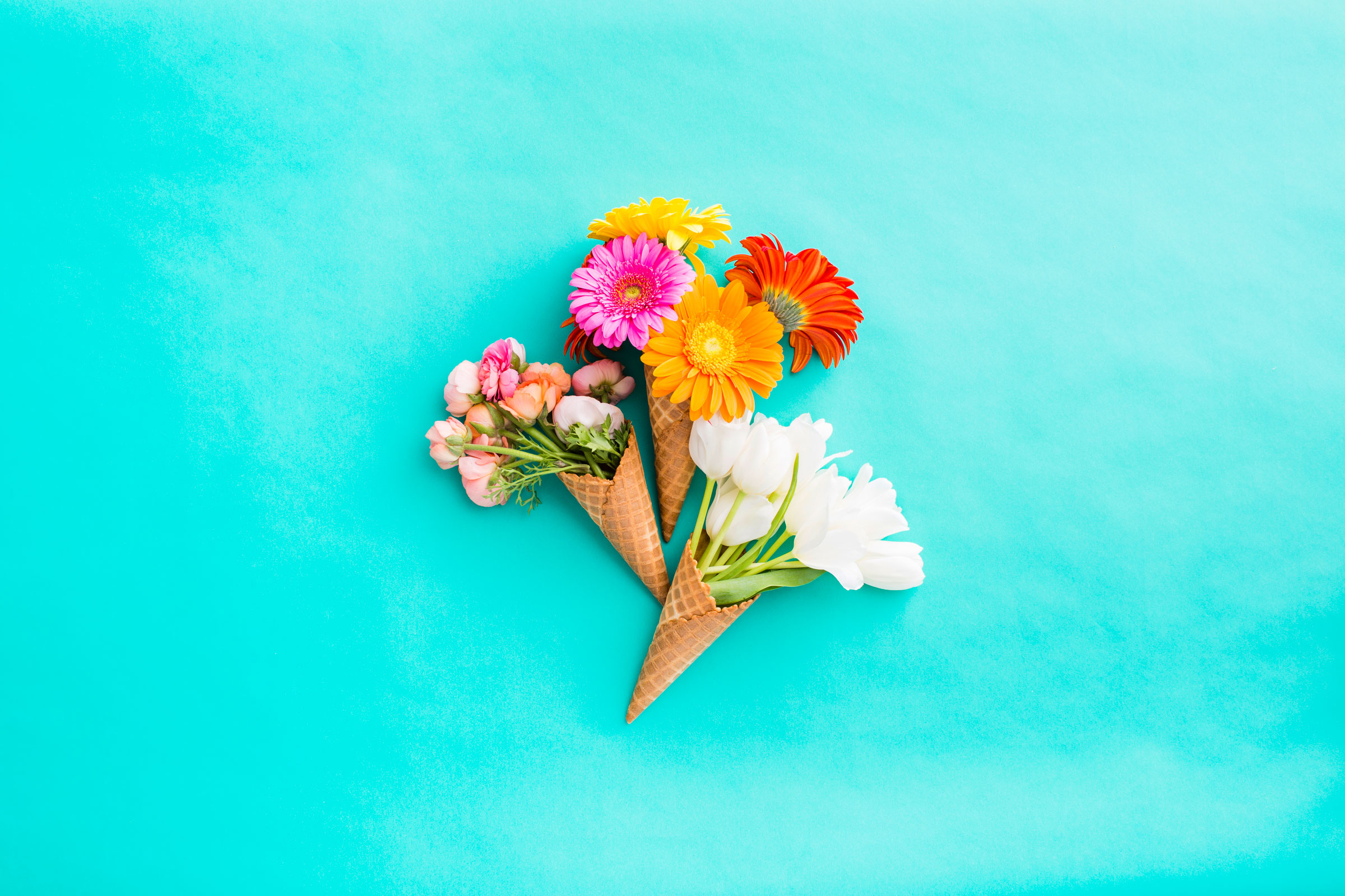 Brand New Desktop And Smartphone Wallpaper For Spring Brit Co
