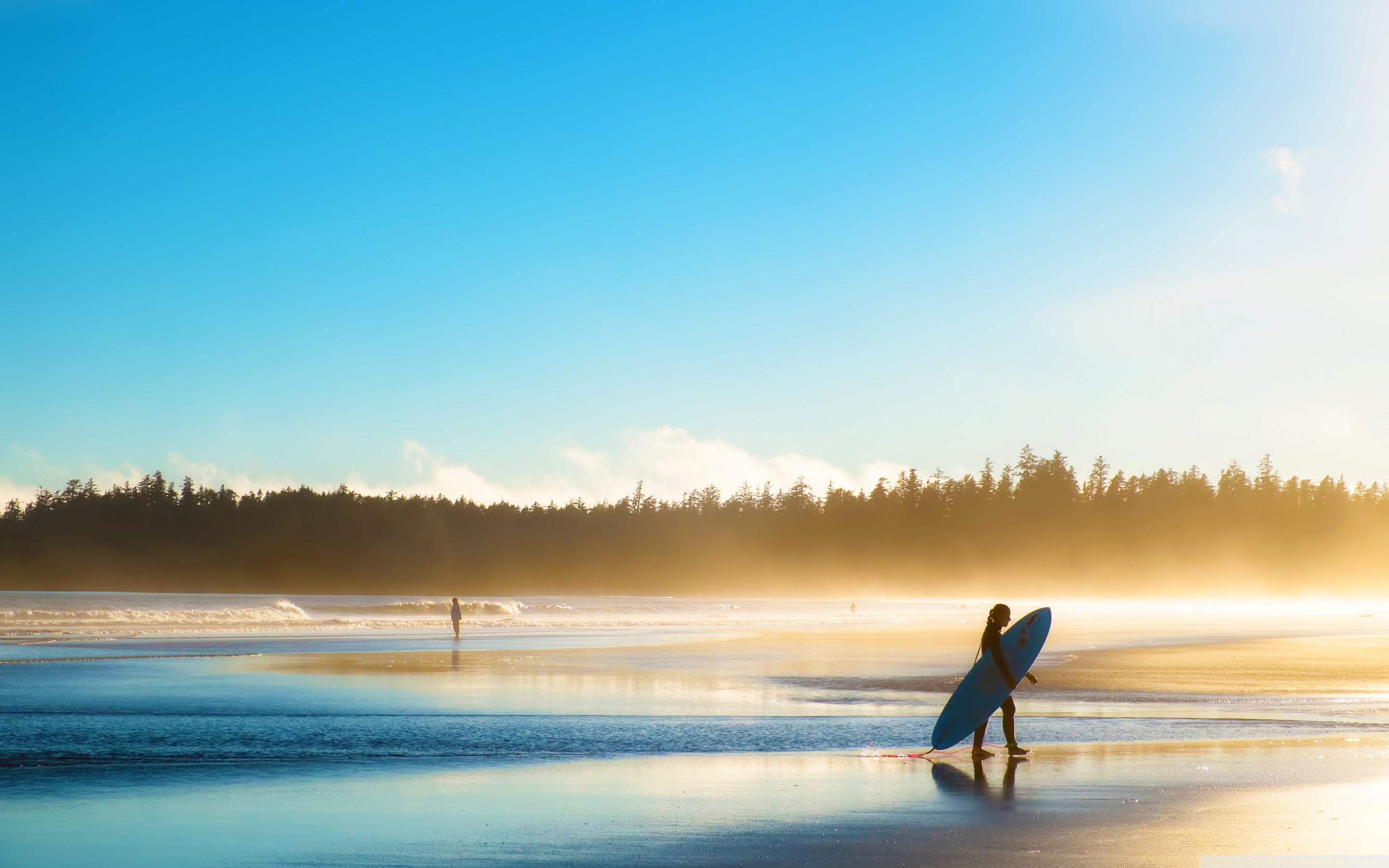 Surf Wallpaper Collection For