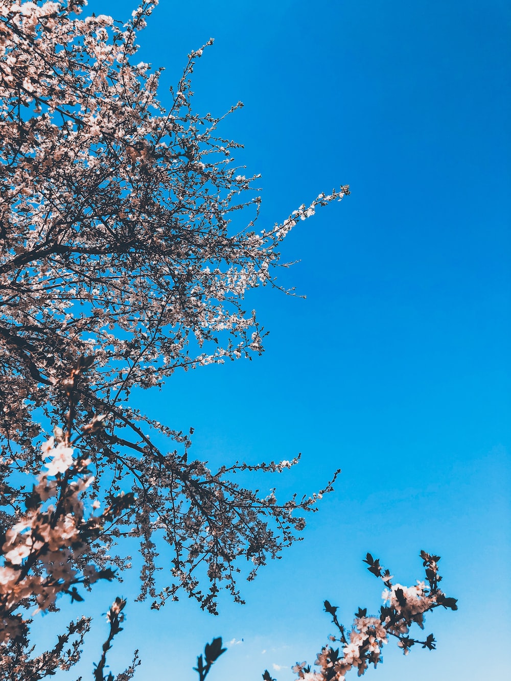 Kdrama Wallpaper On