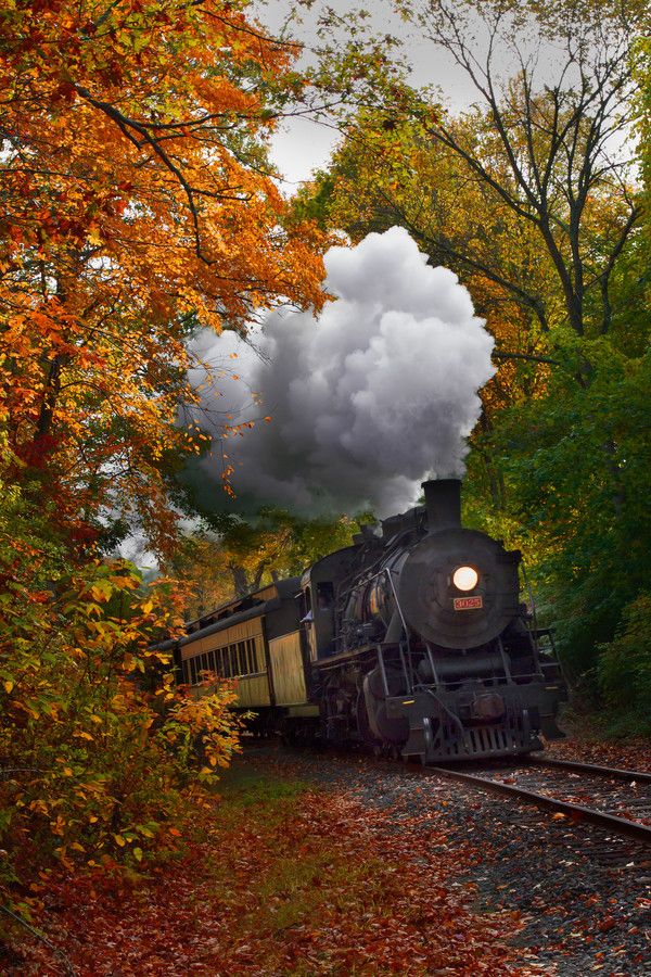 Autumn Train By Jonathan Steele Long Black