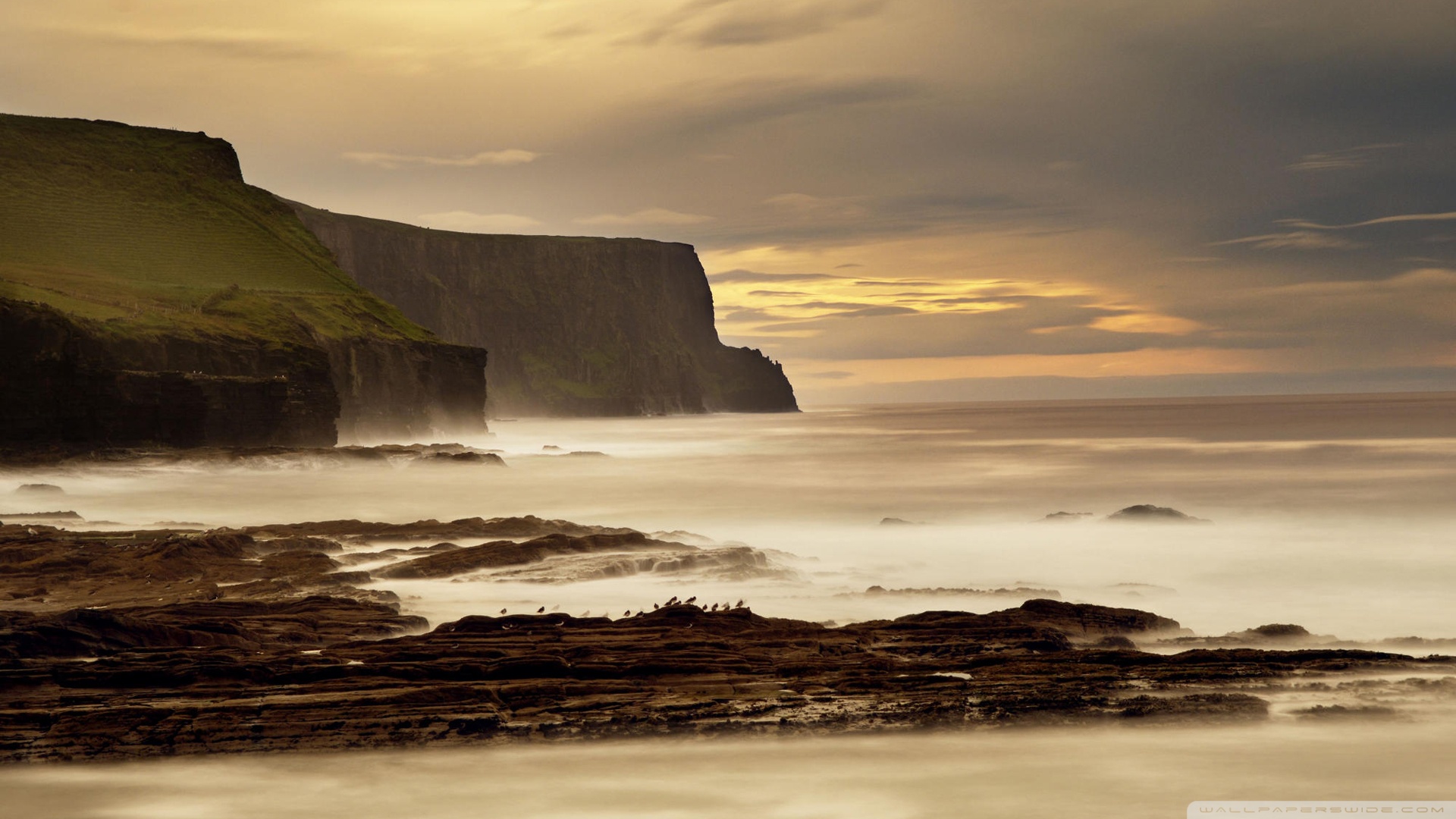 The Cliffs Of Moher Ireland Wallpaper