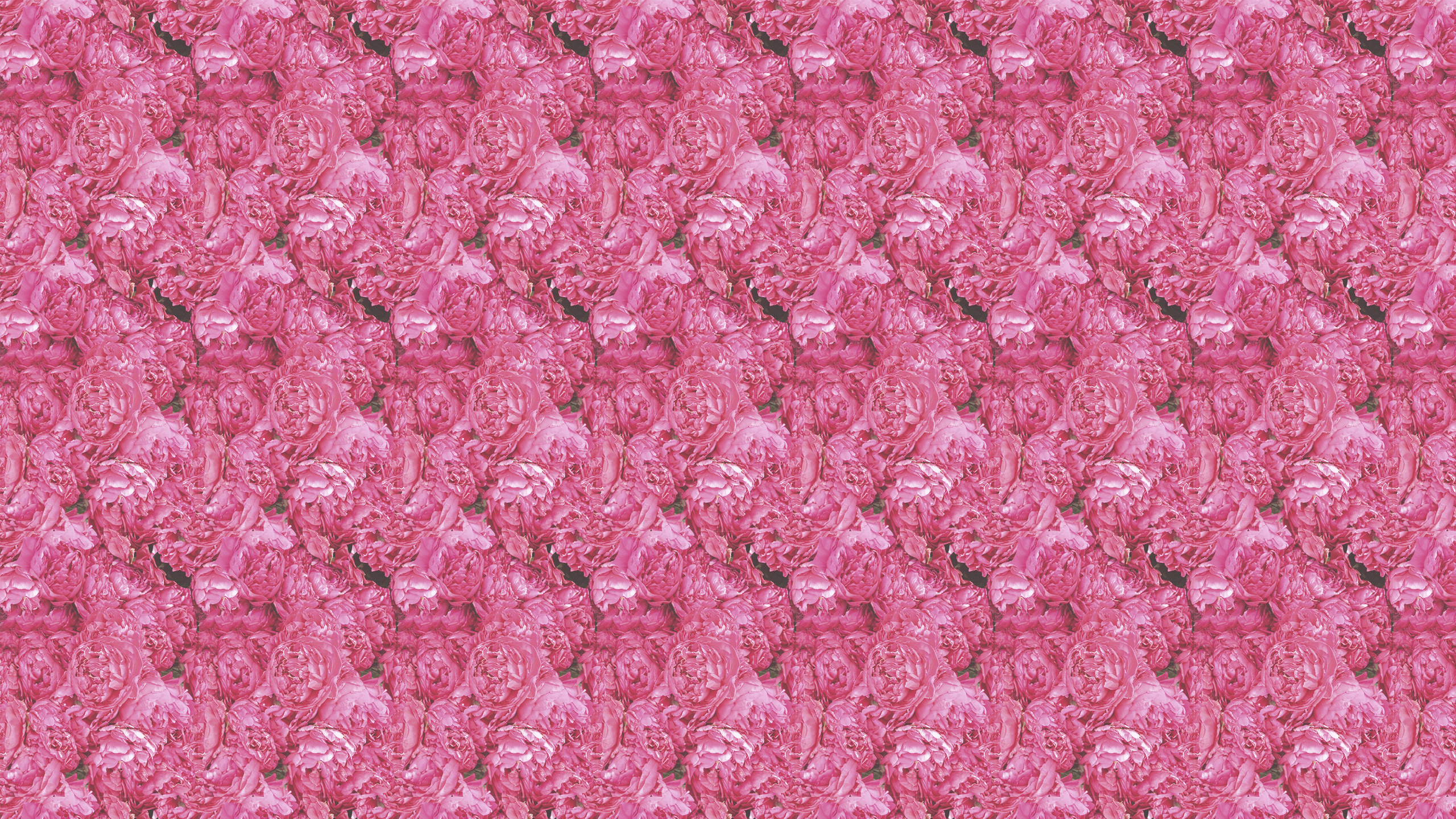 This Pink Hydrangea Desktop Wallpaper Is Easy Just Save The
