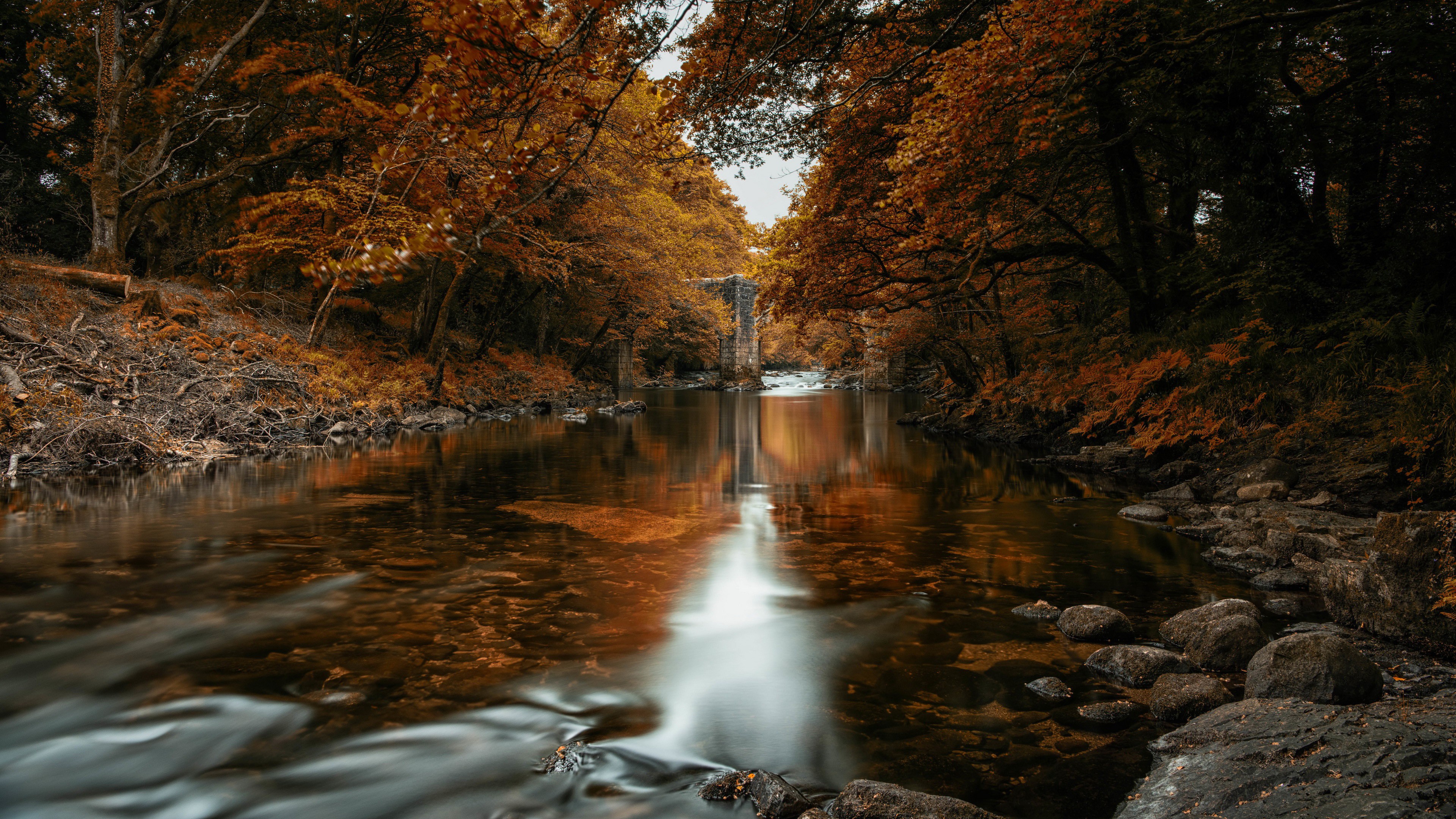 Fall In The River Autumn Trees Forest 4k HD Nature Wallpaper
