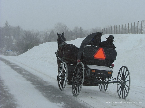 Amish Winter Wallpaper Photo Sharing