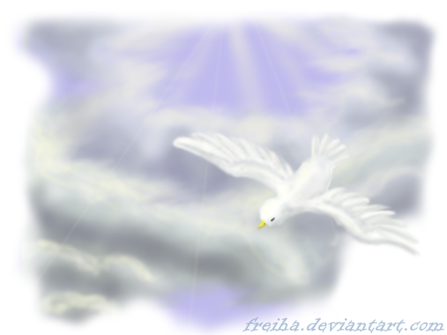 Dove In Clouds By Freiha