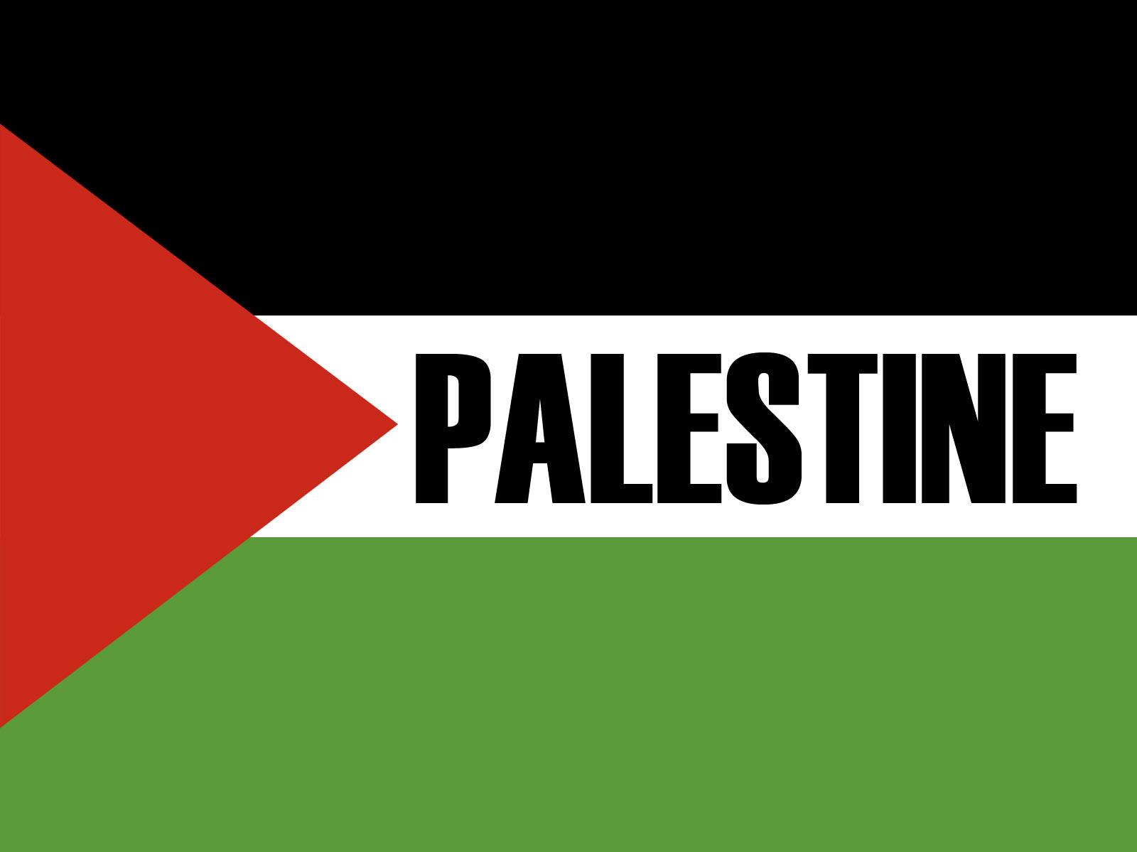 Palestine Flag Background For Powerpoint Google Slide Templates