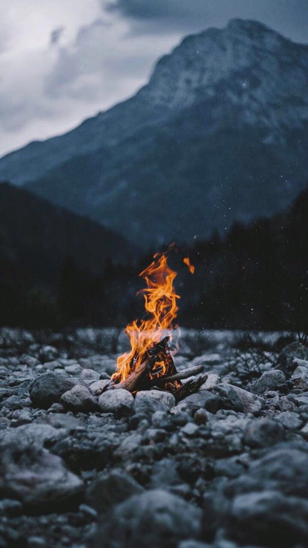 Explore More Pics By Woodland Wilderness And Cabins Right Here Wallpaper