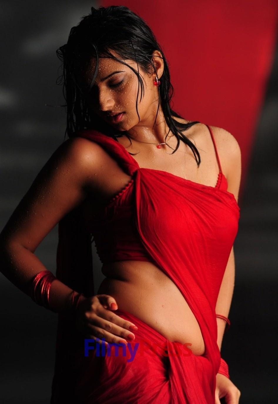 Isha Chawla Hot Navel Photos In Saree From Prema Kavali Movie Hq