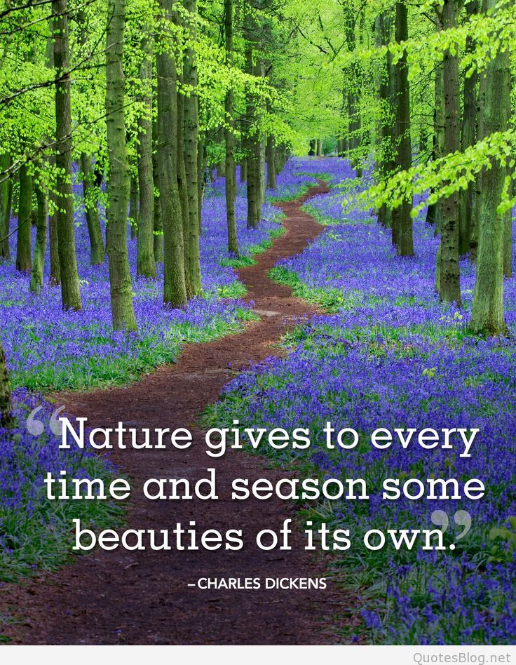 Best Spring Flowers Image Quotes Sayings