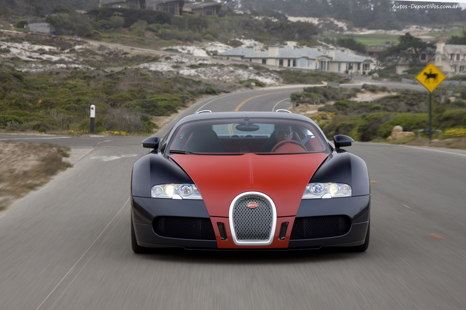Bugatti Veyron Fbg Par Hermes Wallpaper Car Pictures