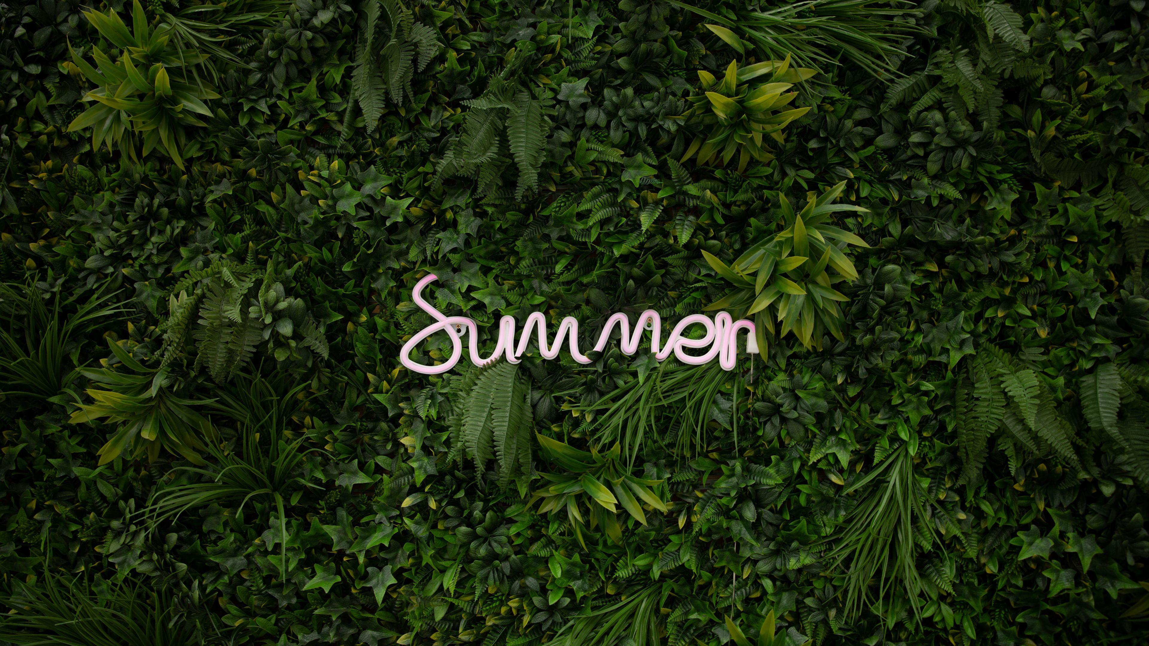 4k Summer Wallpaper For Desktop iPad iPhone