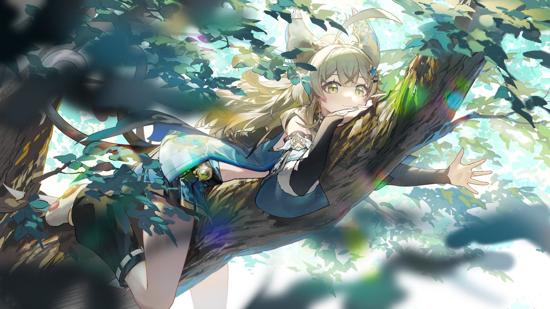 Kirara In Nature Wallpaper