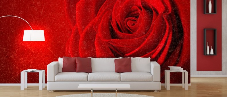 rose is always red wall murals and photo wallpapers in the living room
