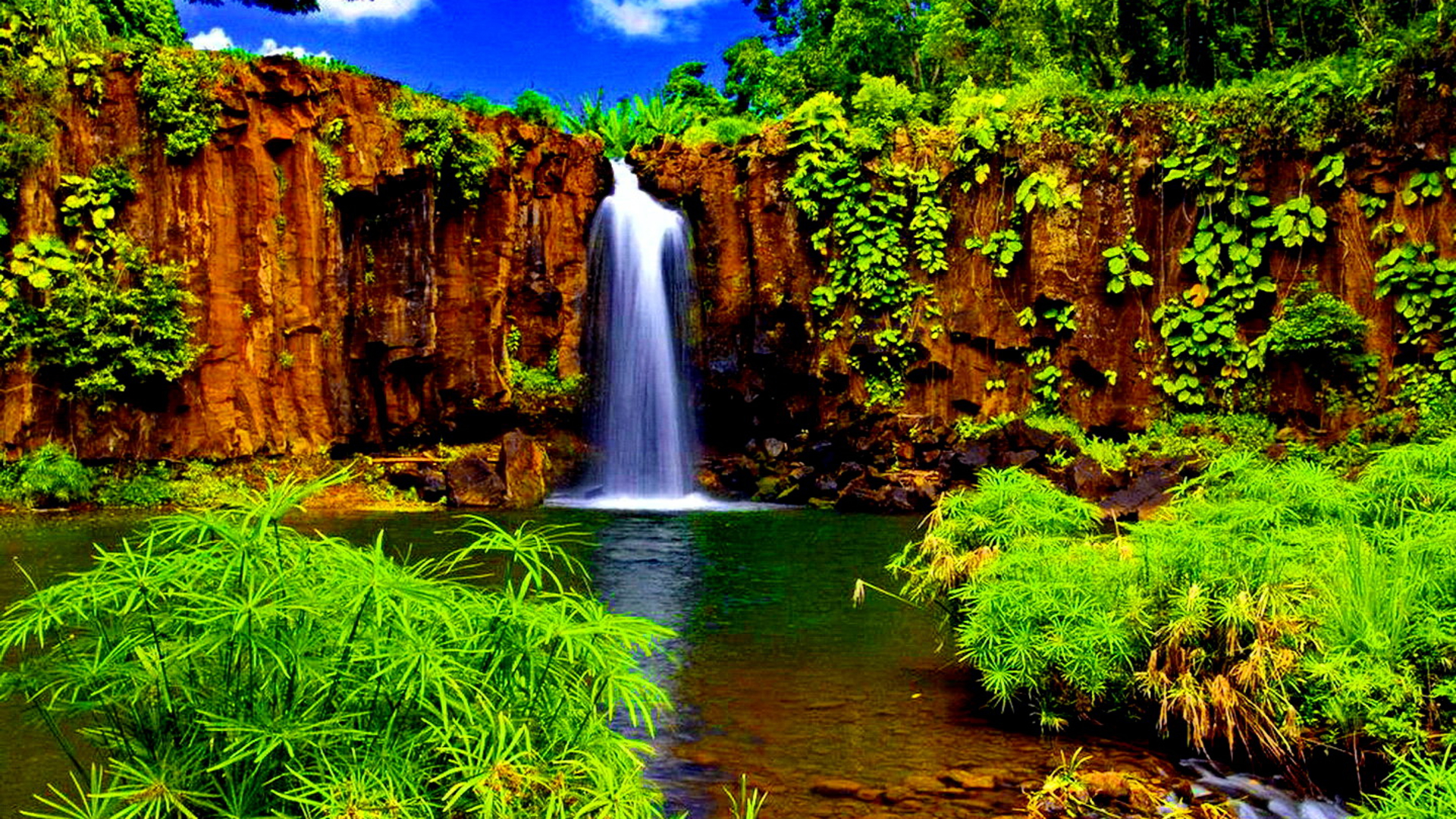 Tropical Waterfall Puter Wallpaper Desktop Background
