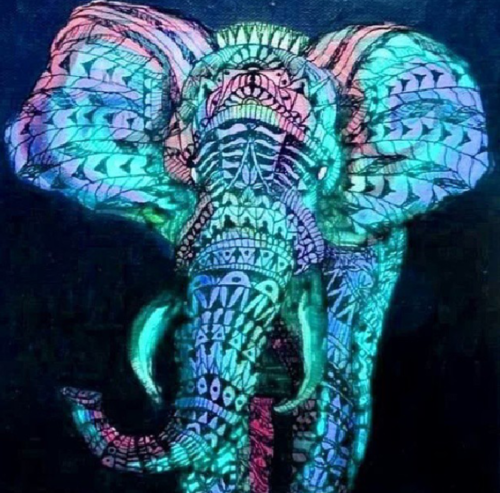 Lsd Neon Trippy Elephants Drugs Photos Image Bild Fotos On