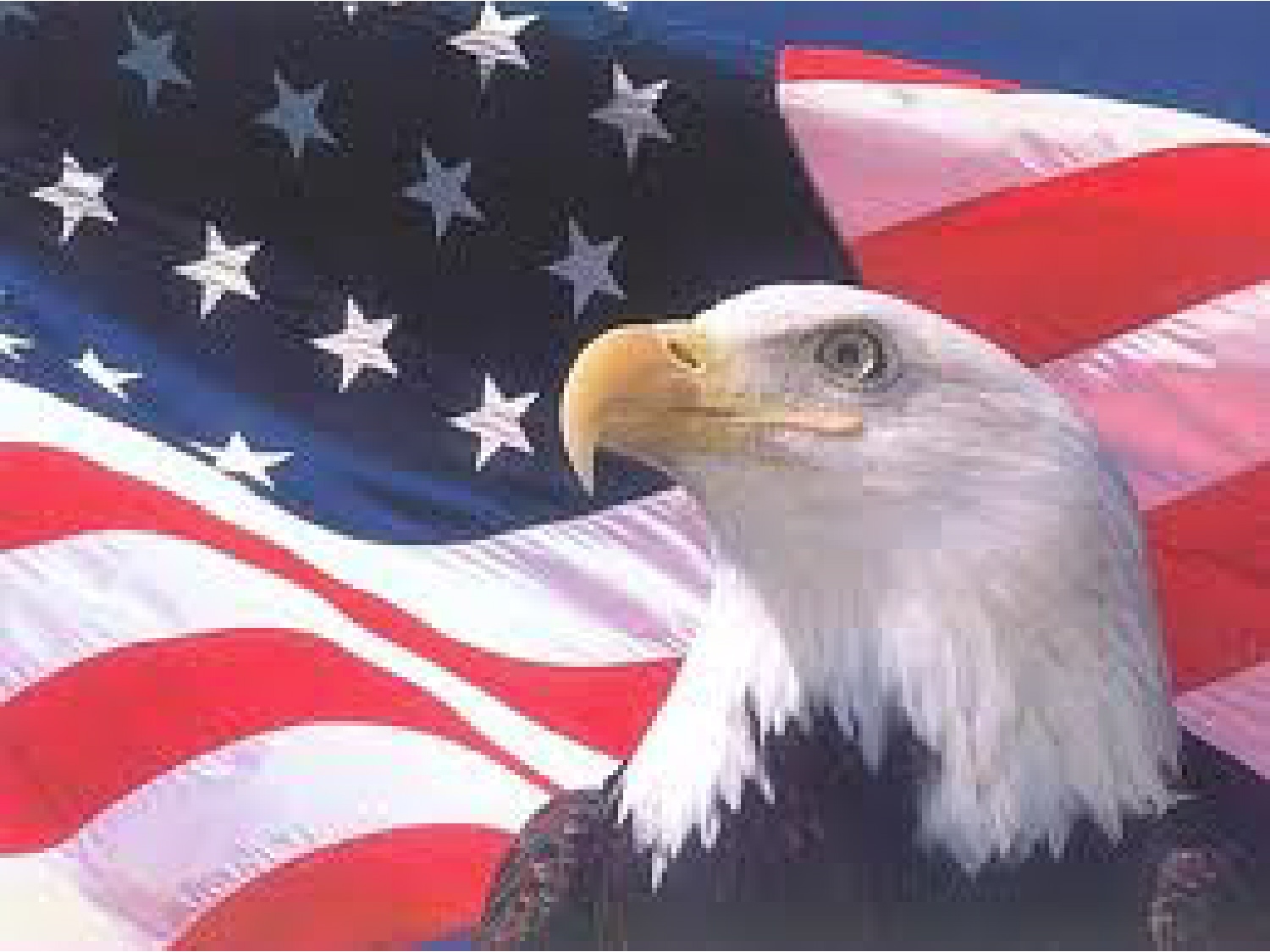 American Flag Eagle Images Pictures   Becuo
