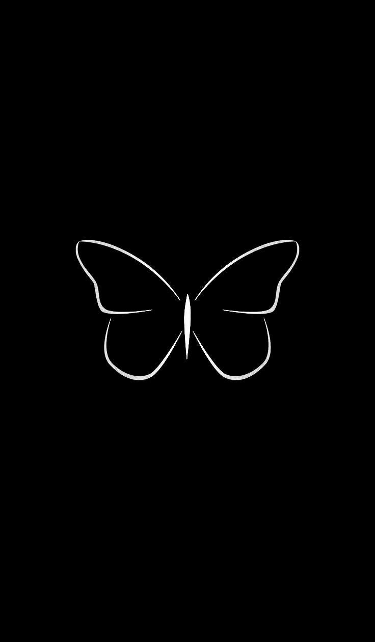 Jack Carbone On Butterflies Black Wallpaper Cute