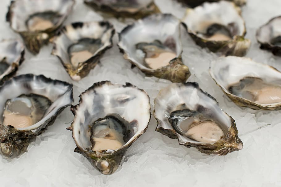 HD Wallpaper Raw Oysters With Ice Shell Fish Seafood Fresh