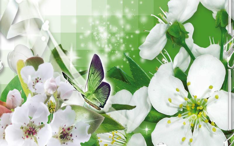 Related Pictures 3d Spring Blossoms Screensaver Software